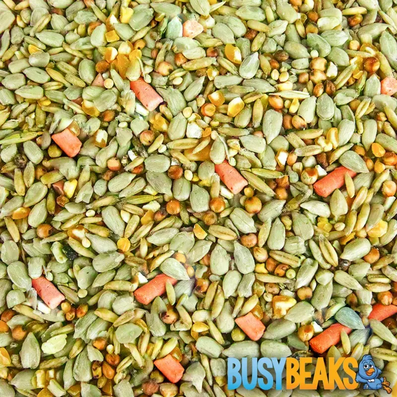 Busybeaks Premium Wild Bird Food (5Kg) 5Kg