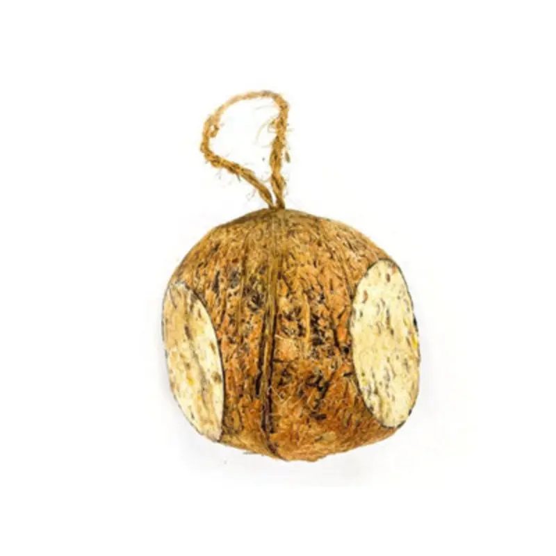 Chubby Pet Products Chubby Whole Suet Filled Coconuts Hanging Wild Bird Food Red