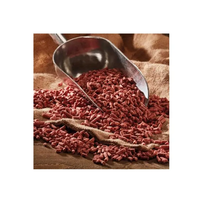 Berry Suet Delight Pellets - High-Energy Wild Bird Food For All Seasons | Wowcher