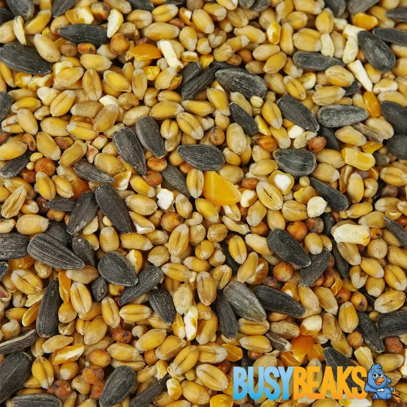 Busybeaks Year Round Wild Bird Food Mix (5Kg) 5Kg