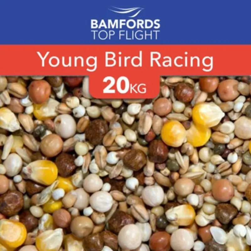 B&Q Bamfords Top Flight Young Bird Racing Pigeon Food 20Kg