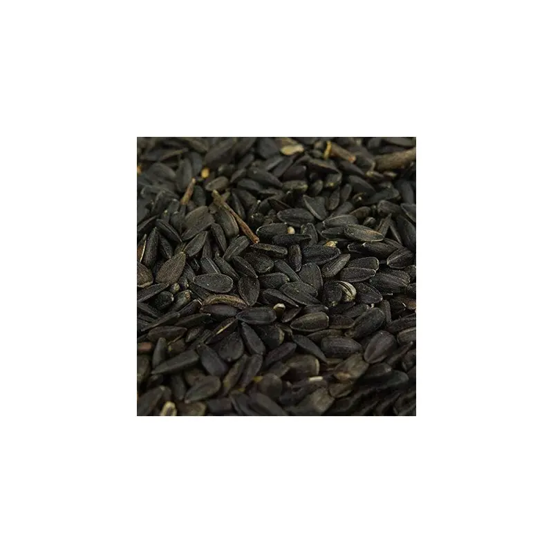 Busybeaks Black Oil Sunflower Seeds (2.5Kg) 2.5Kg