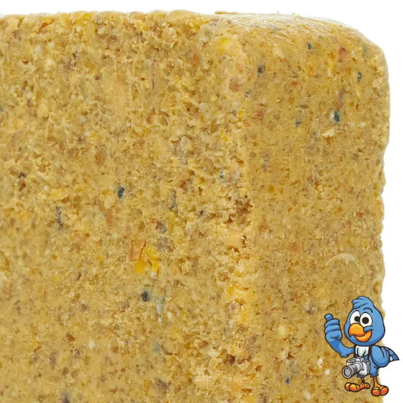 Busybeaks Suet Blocks (Worm & Insect, 100)