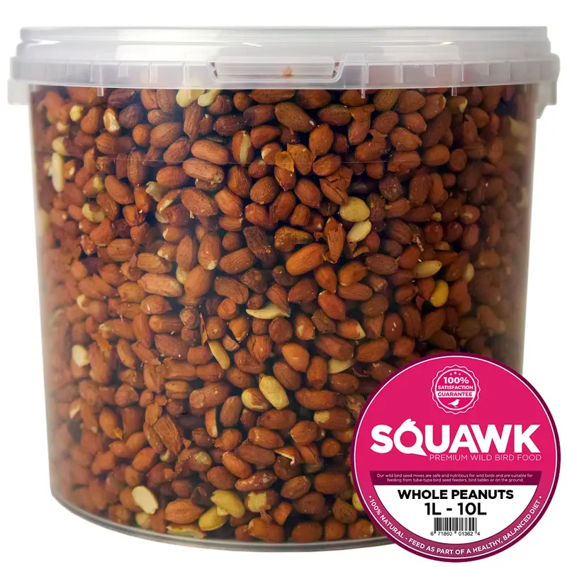 Gardeners Dream Squawk Whole Peanuts (Tubs) - Large