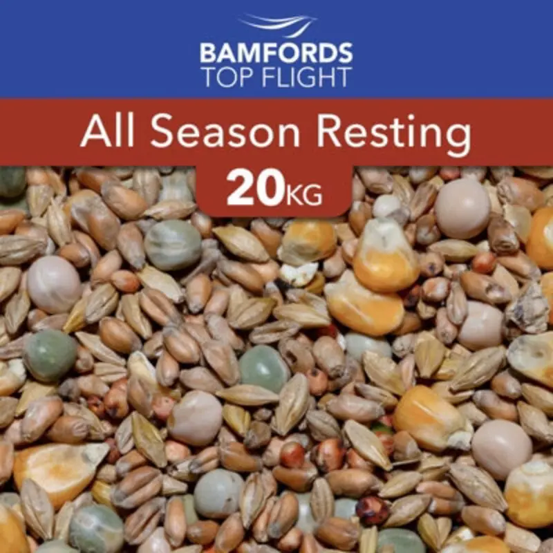 B&Q Bamfords Top Flight All Seasons Resting Racing Pigeon Food 20Kg