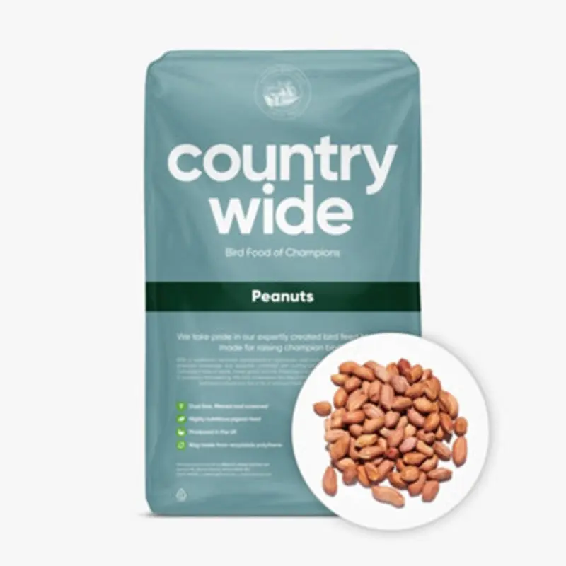 B&Q Countrywide Peanuts For Wild Birds 20Kg