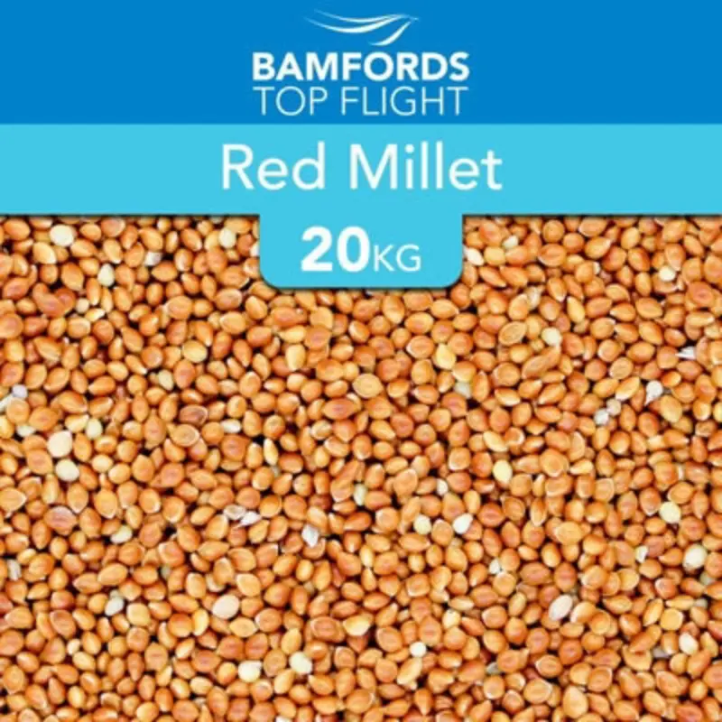 B&Q Red Bamfords  Millet Bird Seed 20Kg