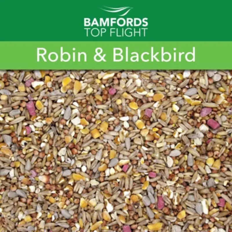 B&Q Bamfords Robin & Blackbird Mealworm & Suet Blend Wild Bird Seed 20Kg