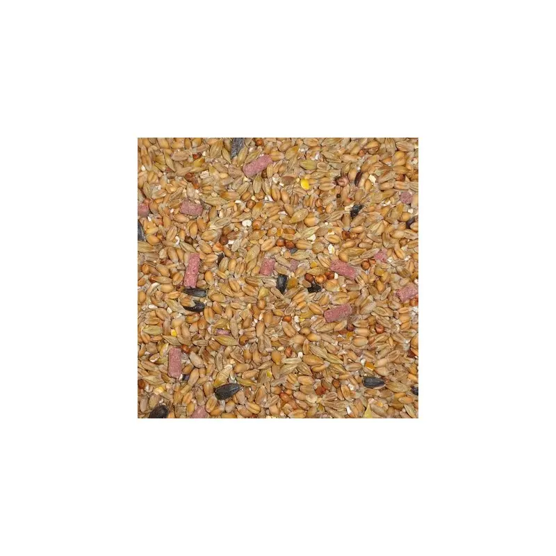 Dawn Chorus 25 Kg Original Flavour Wild Bird Seed Mix 25Kg