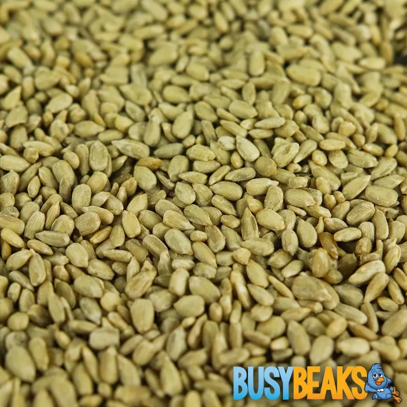 Busybeaks Black Sunflower Hearts - Kernels Bird Seed Bakery Grade Food (15Kg) 15Kg
