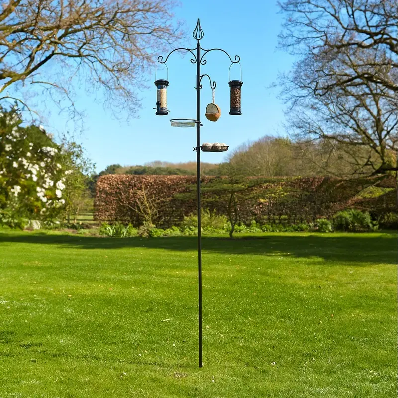 Tom Chambers Black Whole Coconutty Suet Feeder Small