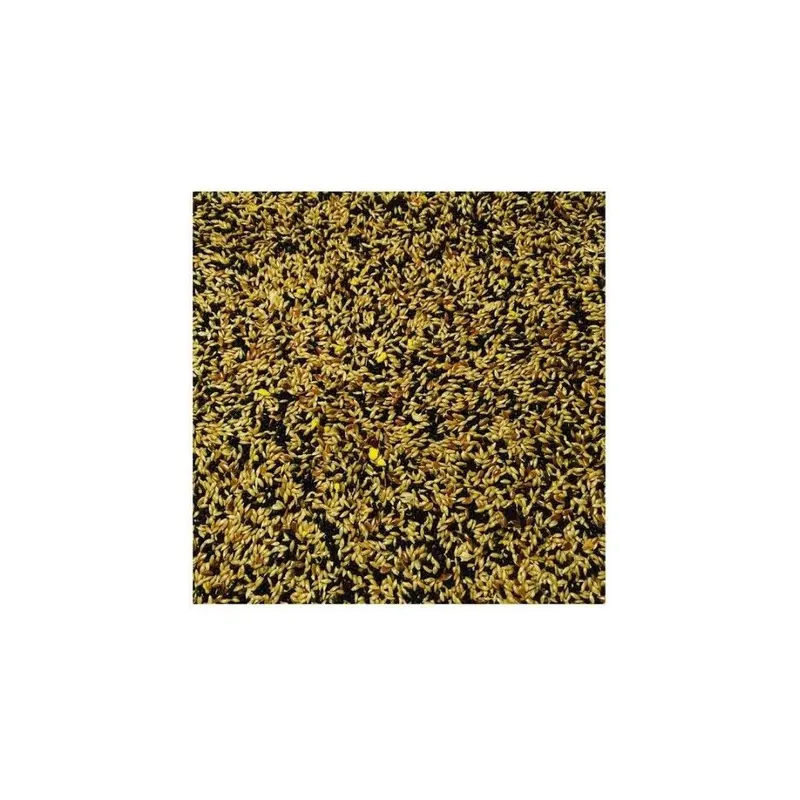 Bucktons (10Kg) No.1 Mixed Canary Seed / Food 10Kg