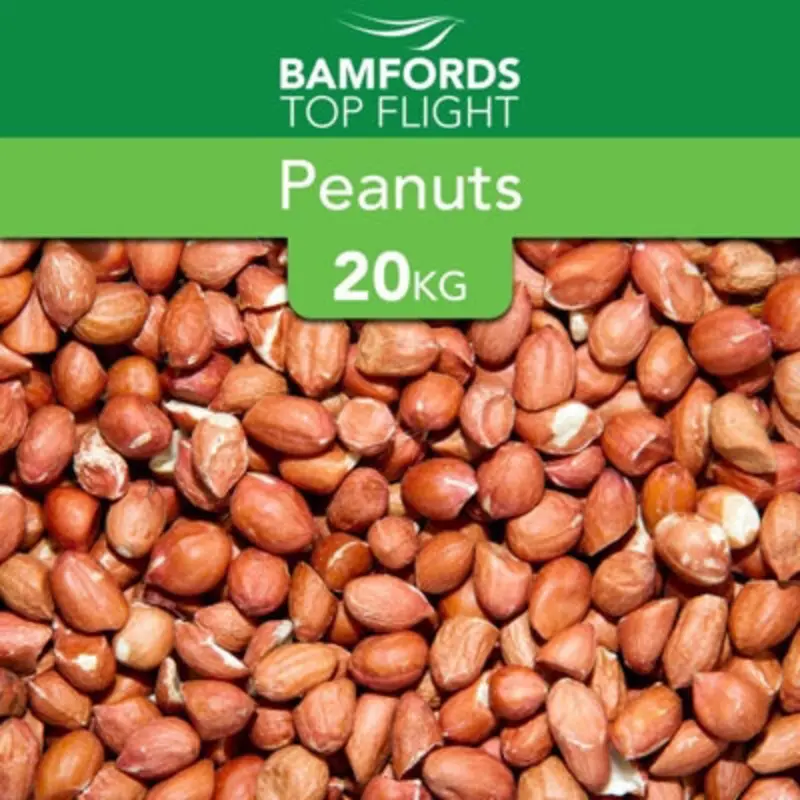 B&Q Bamfords Medium Peanuts Wild Bird Food 20Kg