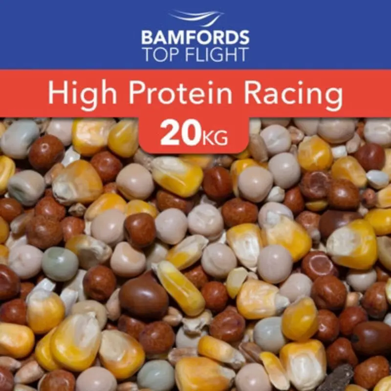 B&Q Bamfords Top Flight High Protein Racing Pigeon Food 20Kg
