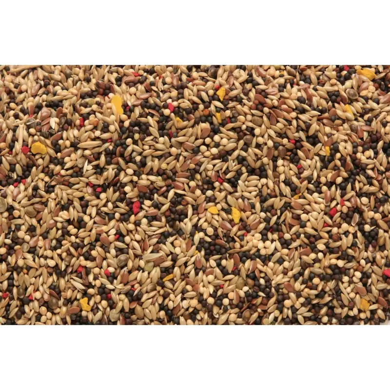 Skygold Black Popular Canary Cage & Aviary Seed Mix 20Kg