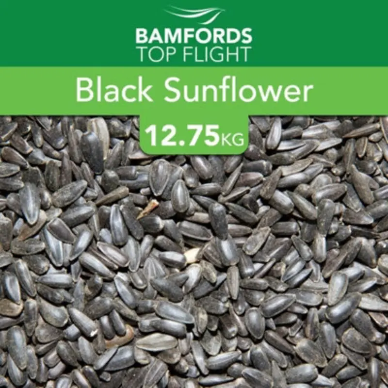 B&Q Bamfords  Sunflower Seeds Wild Bird Food 12.75Kg Black