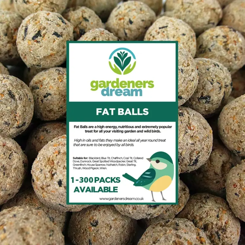 Gardeners Dream Suet Fat Balls - Size 50 Pack