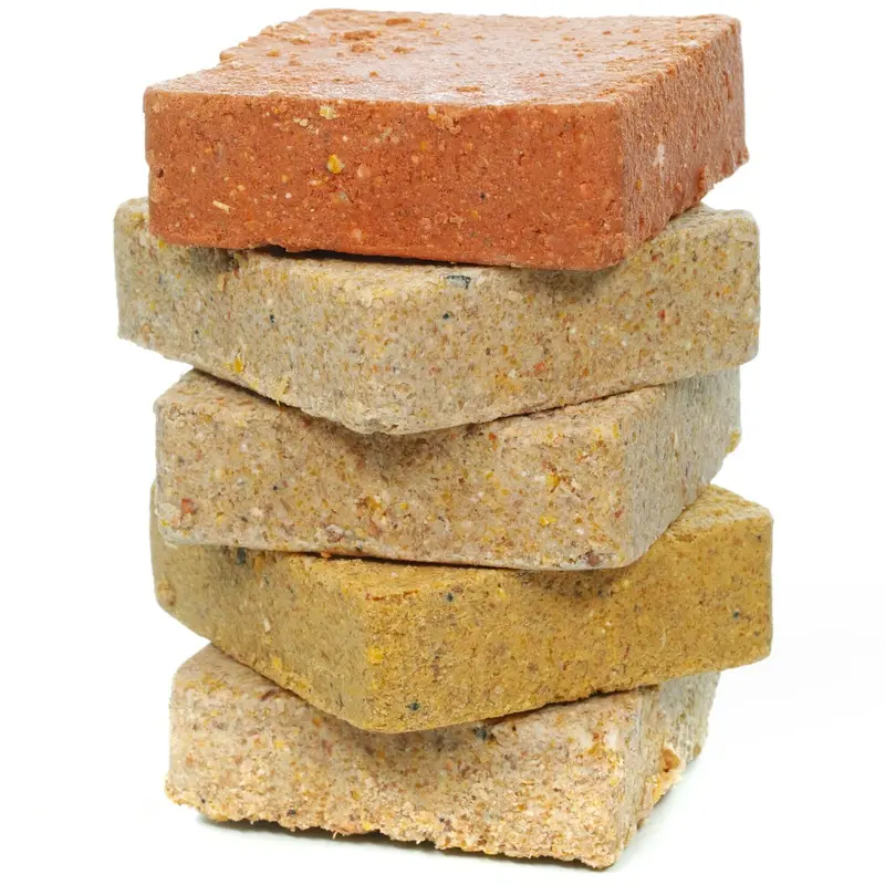 Squawk Suet Blocks (Mixed, 100)