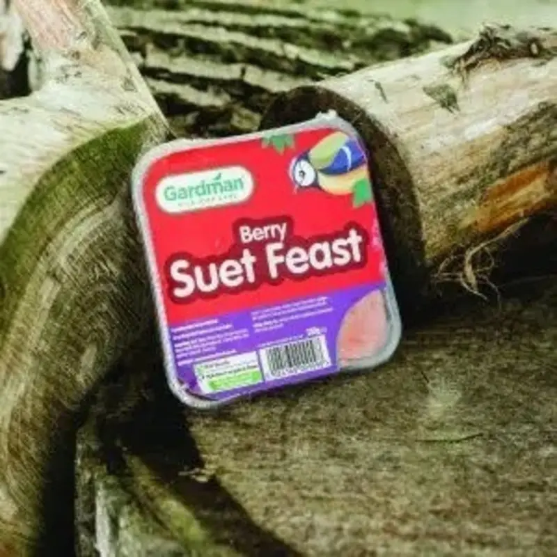 Gardman Berry Suet Feast For Birds - 300G