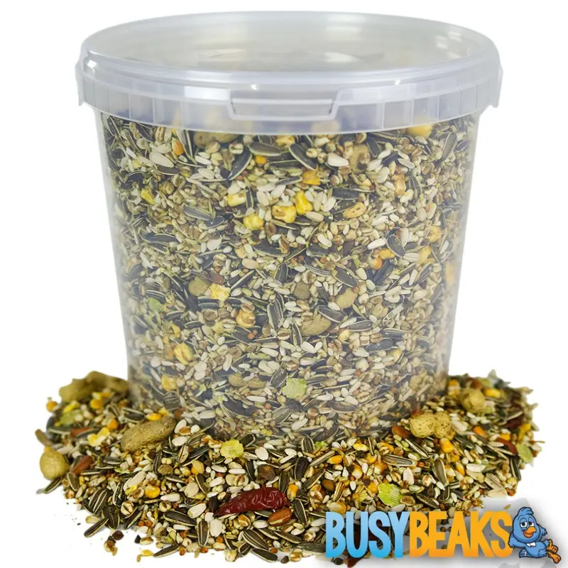 Busybeaks Grey African Parrot Food - High Energy Bird Nut Seed Oat Feed Tub Mix