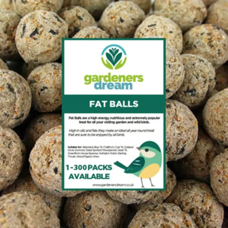 Gardeners Dream Suet Fat Balls Wild Bird Food (300 Pack)