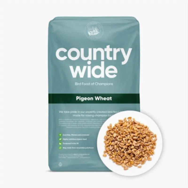 B&Q Countrywide Pigeon Wheat - 20Kg