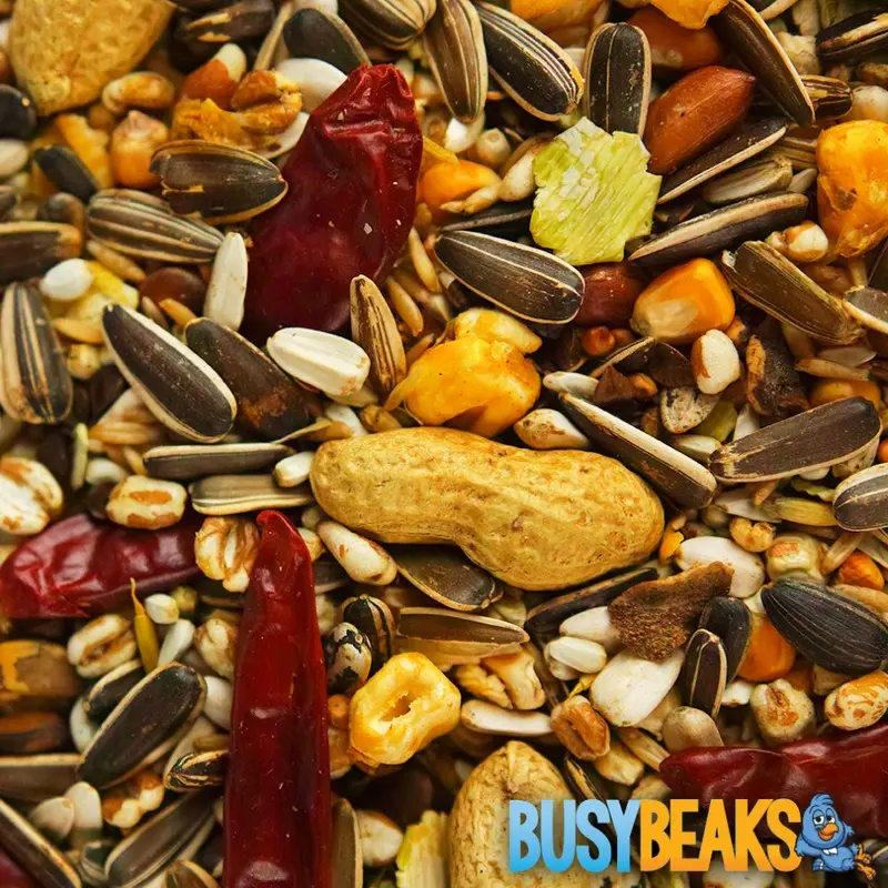Busybeaks Grey African Parrot Food - High Energy Bird Nuts Seeds Oats Feed Mix