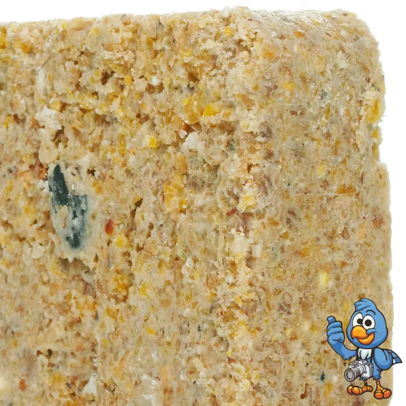 Busybeaks Suet Blocks (Mealworm, 1) Size 1
