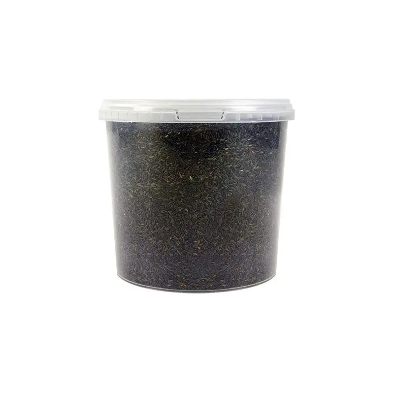 Squawk Black Oil Sunflower Seeds (5L) 5L