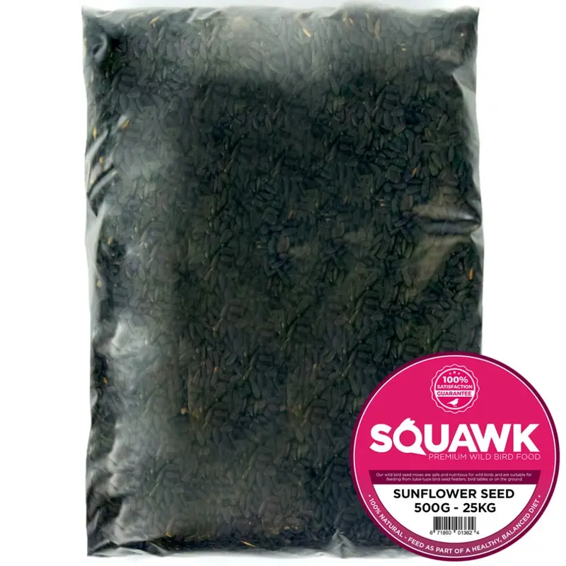 Squawk Black Oil Sunflower Seeds - Wild Garden Bird Food Oil Rich Feed