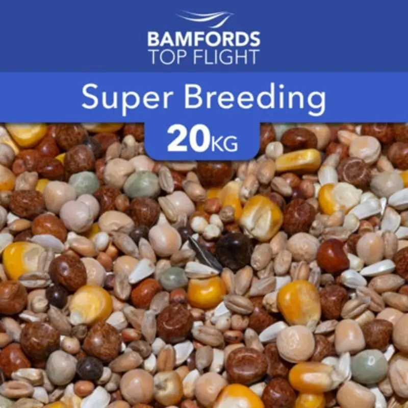 B&Q Bamfords Top Flight Super Breeding Racing Pigeon Food 20Kg