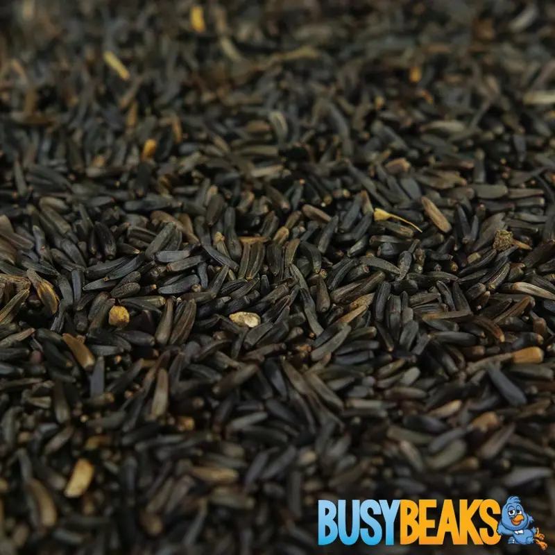 Busybeaks Niger Seeds - Quality High Energy Wild Bird Feed Garden Finch Food Small