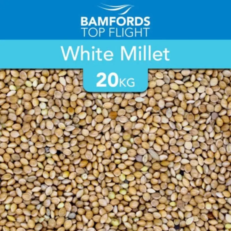 B&Q Bamfords  Millet Bird Seed 20Kg White