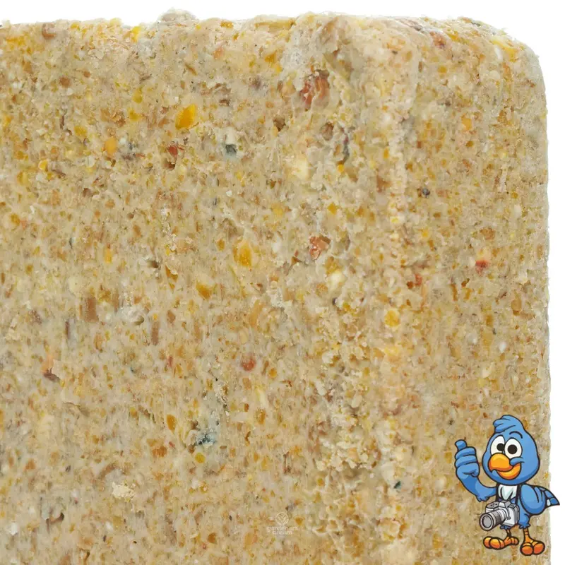 Busybeaks Suet Blocks (Peanut, 1) Size 1