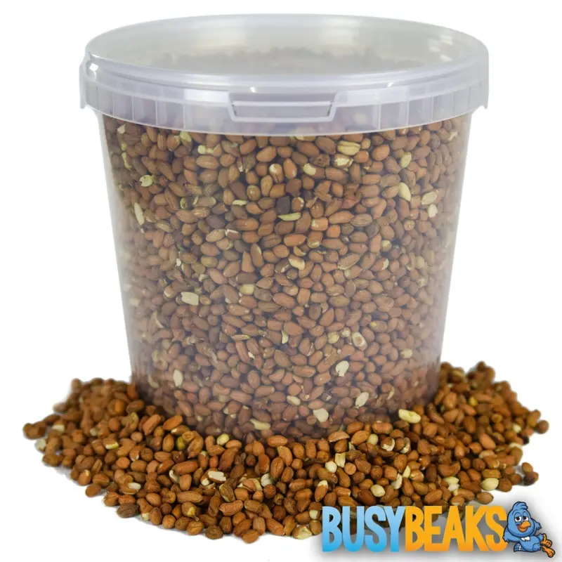 Busybeaks Whole Peanuts - Premium High Energy Garden Wild Bird Nut Food In Tubs