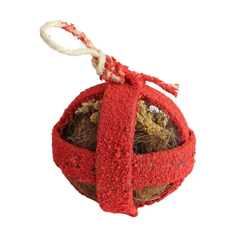 Quiko Snack & Play Fitness Foodball Bird Treat Red 100G