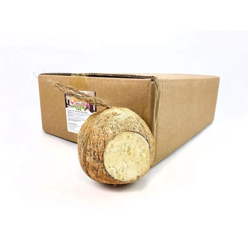 Box of 12 Chubby Whole Filled Coconut Wild Bird Food