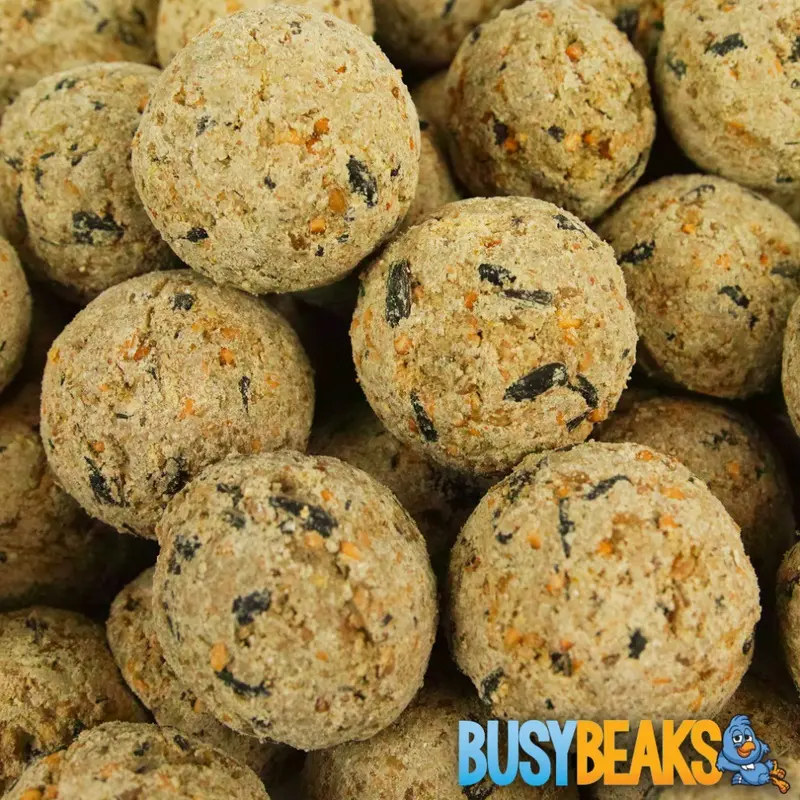 Busybeaks Suet Fat Balls (10 Pack) Size 10