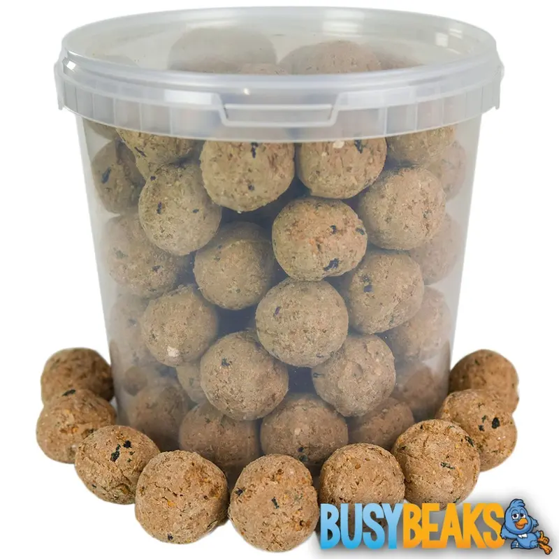 Busybeaks Suet Fat Balls (10L) 10L