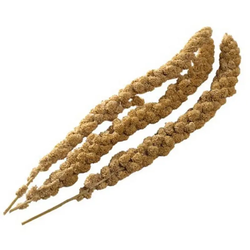 Mayfield Millet Sprays Loose 15Kg