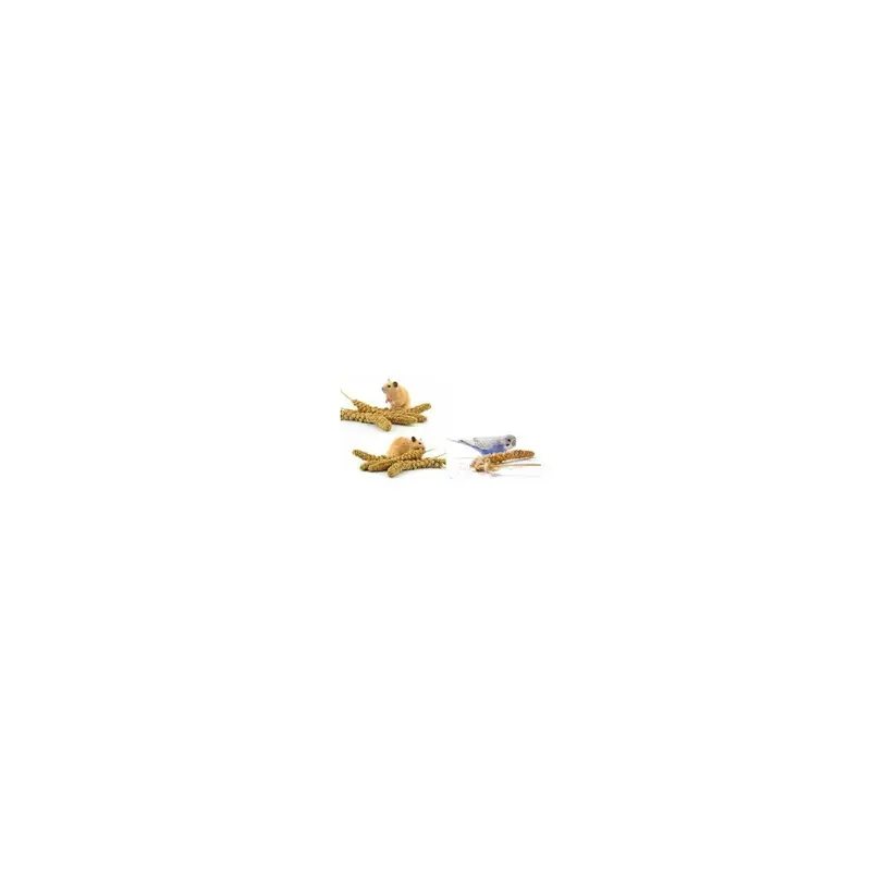 New Step Into Pets World Millet (5 Sprigs) Size 5