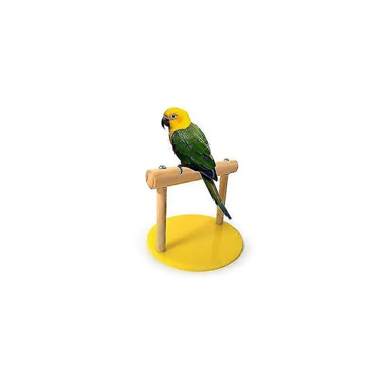 Bird Ca D With Parrot Perch D Playgound Toy
