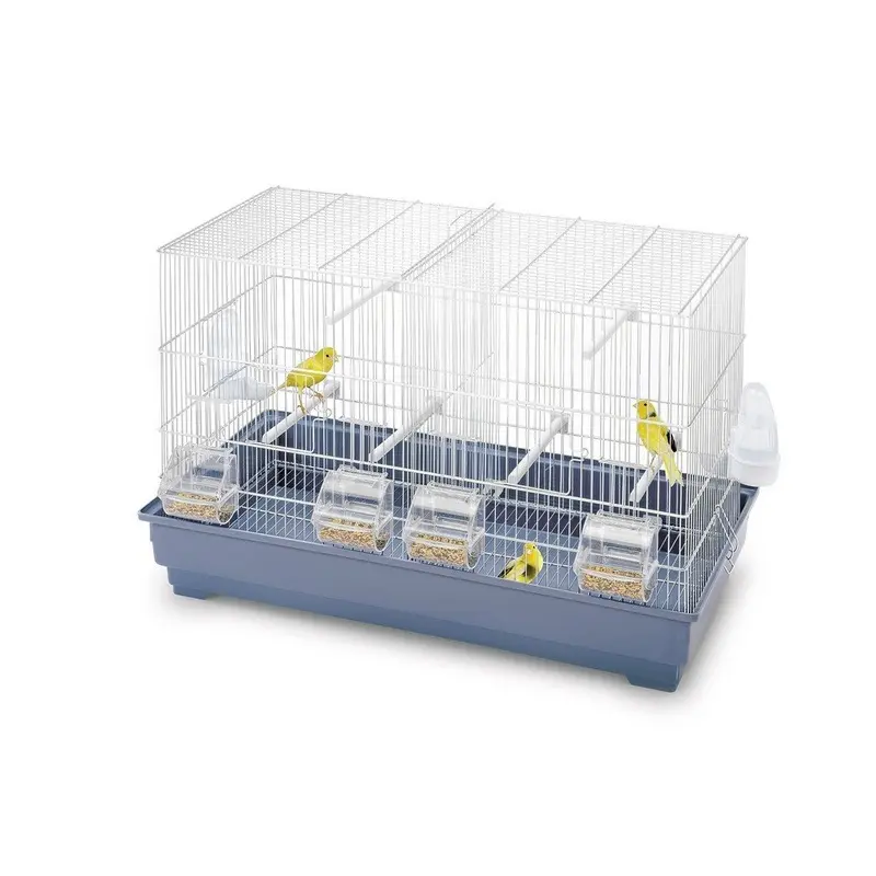 Imac Multi-Coloured Glooke Selected Cova 65 Bird Cages, Multi-Colour, Unique Size 30
