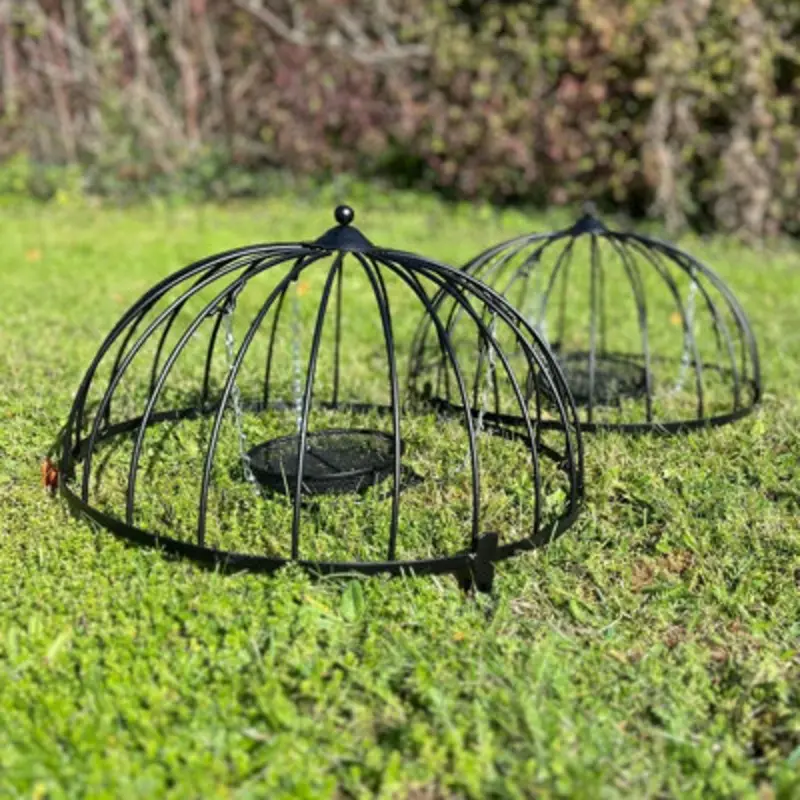 Selections Ground Bird Feeder Haven Cage (Pack Of 2) Black