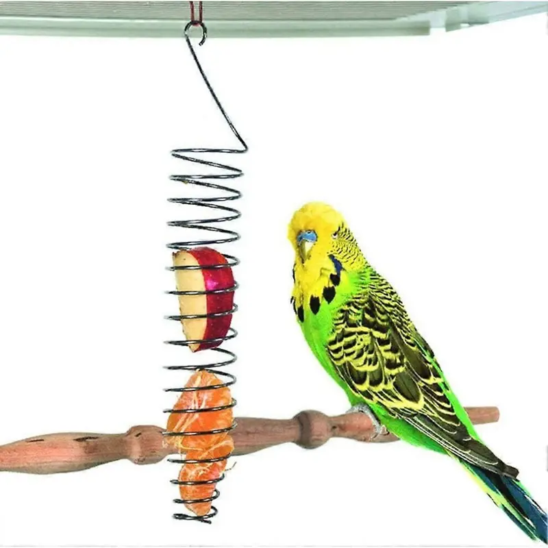 Bird Food Holder, Parrots Foraging Toys for Birdcage