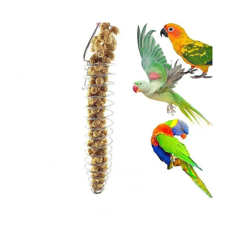 Bird Food Holder, Parrots Foraging Toys