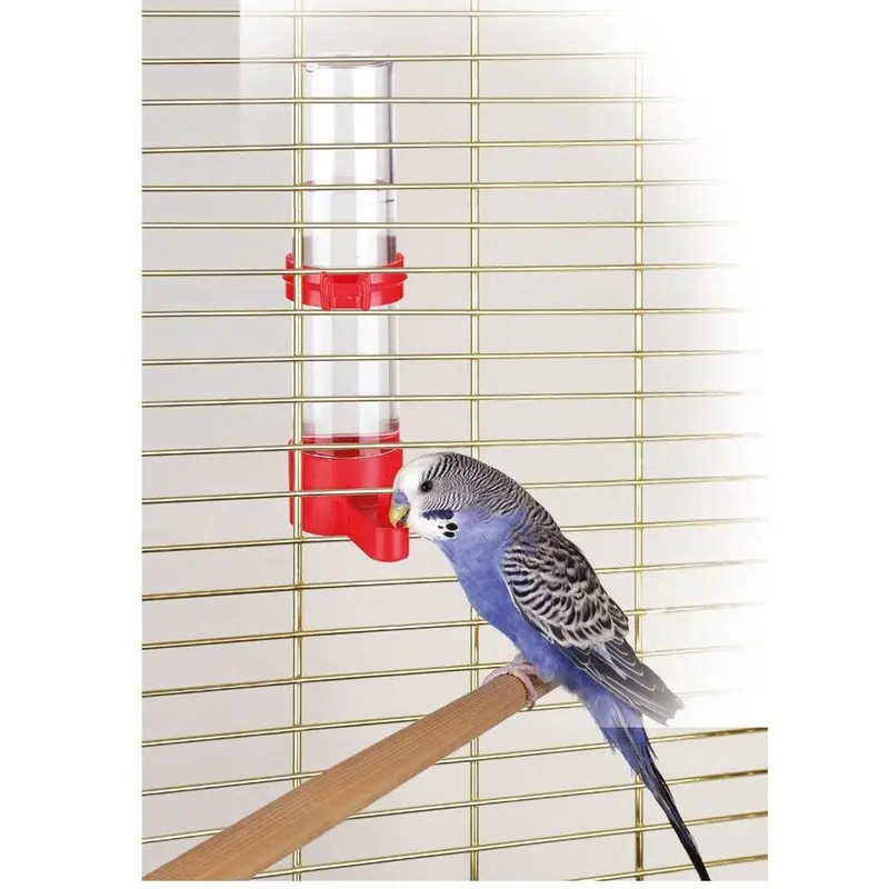 Kerbl Rouge Bird Feeder (X1)