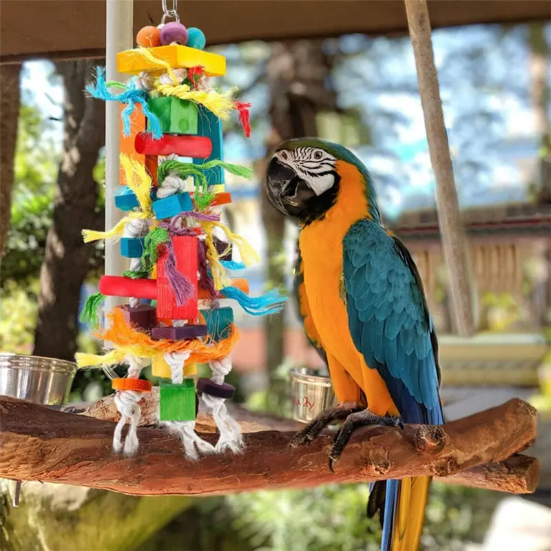 Zeuxo Grey Parrot Chew Toy - Macaws Cockatoo Large