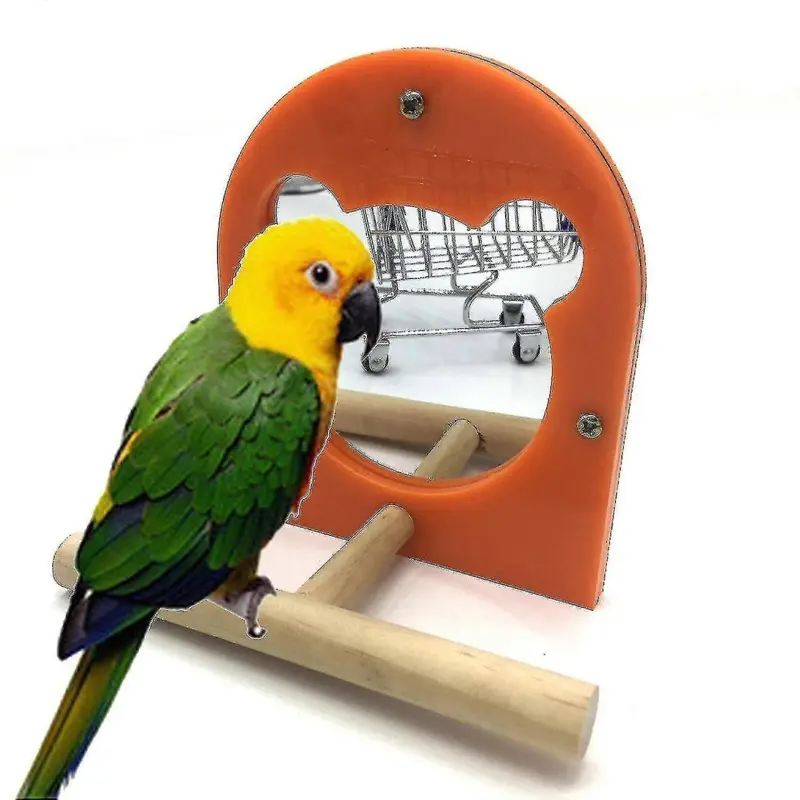 Exsader Not,Specified (As Show, One Size) Acrylic Bird Mirror Parrot Toy Pole