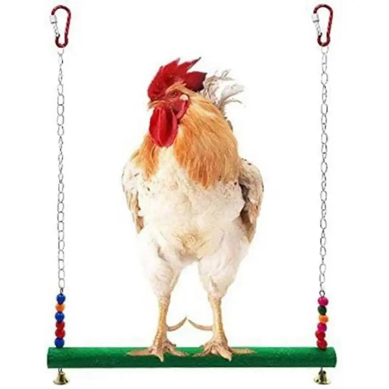 Chicken Swing - Toys For Chickens - Toy For Chickens - Birds, Parro...